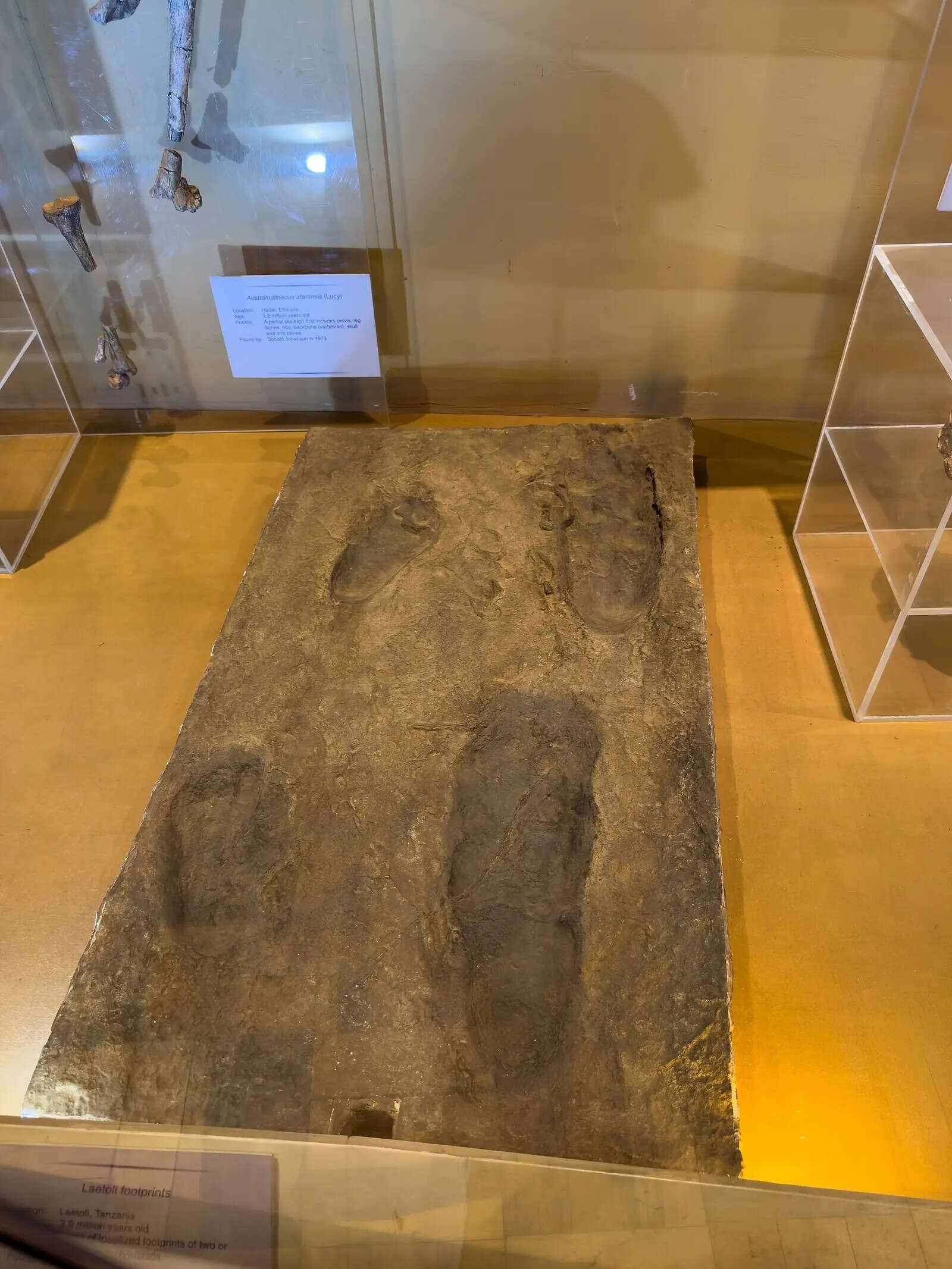 At_Nairobi_National_Museum_2025_082