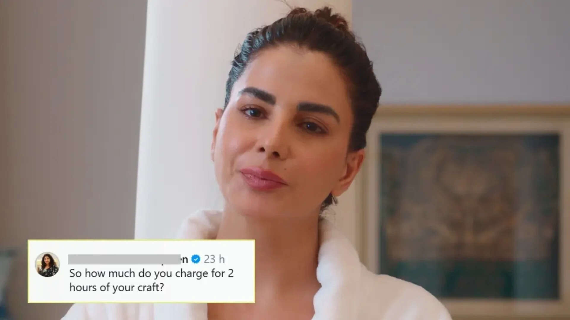 Kirti Kulhari's remark on domestic help’s Rs 10000 salary sparks backlash; Mini Mathur reacts