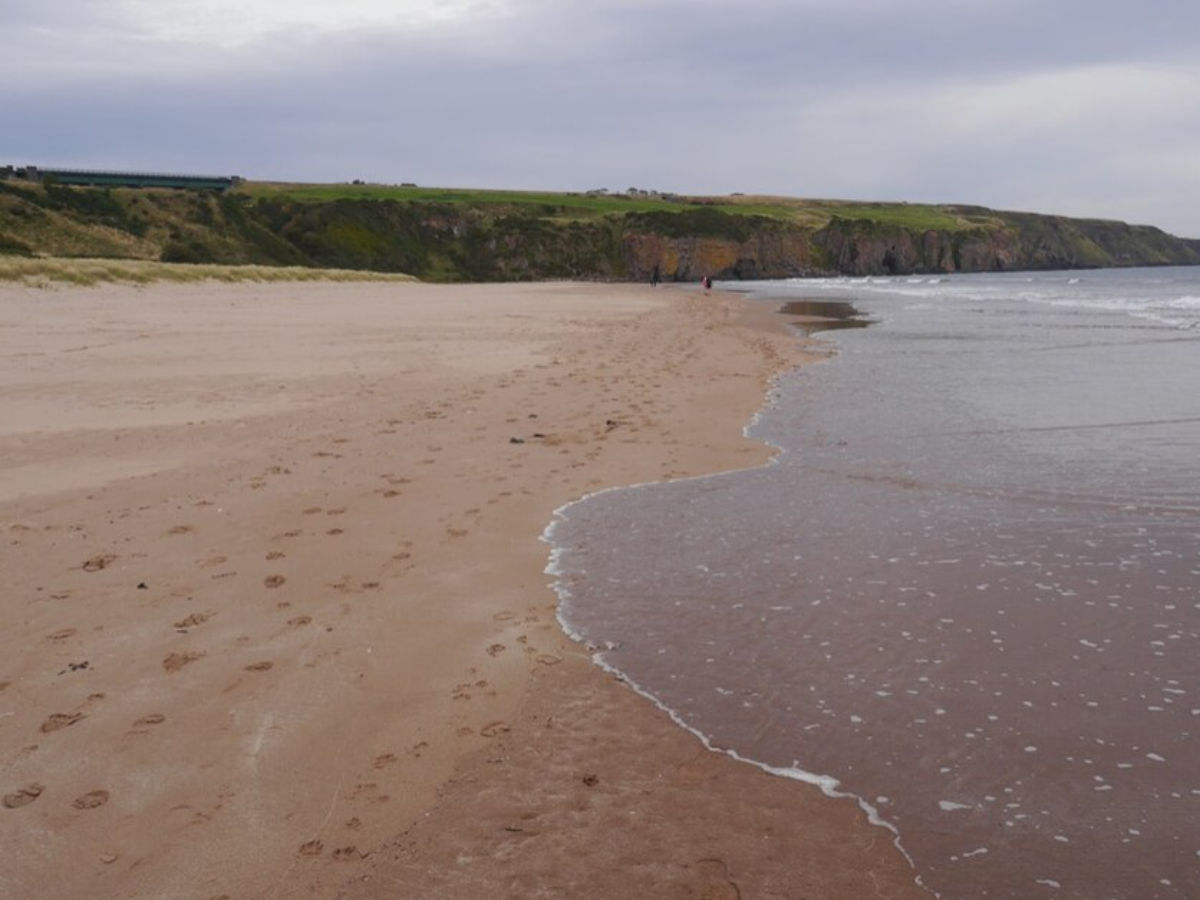North end of the beach, Lunan Bay