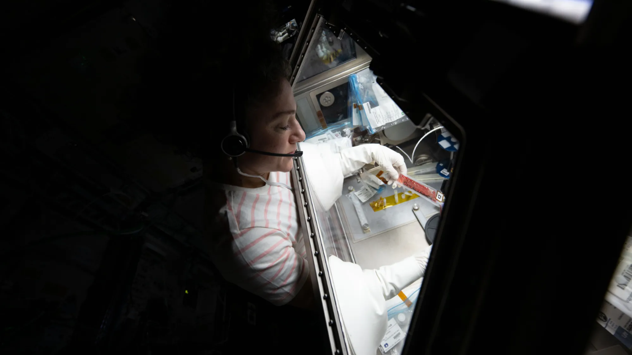 Why scientists are sending stem cells to space to fight cancer and deadly diseases
