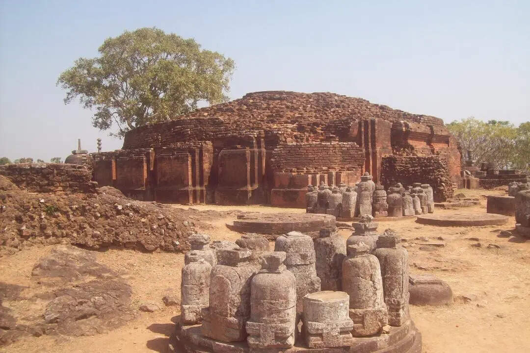 84e13bab-1b23-4688-af3d-c282f2cd4c97_Buddhist_site_ratnagiri.jpg