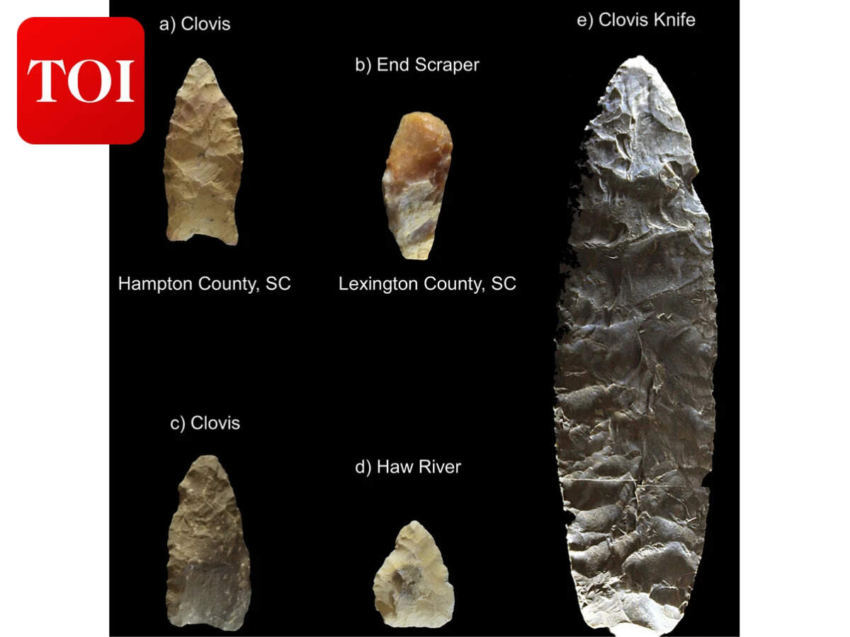 Image of Paleoamerican artifacts positive for Proboscidea from Hampton County, South Carolina  Wikimedia Commons