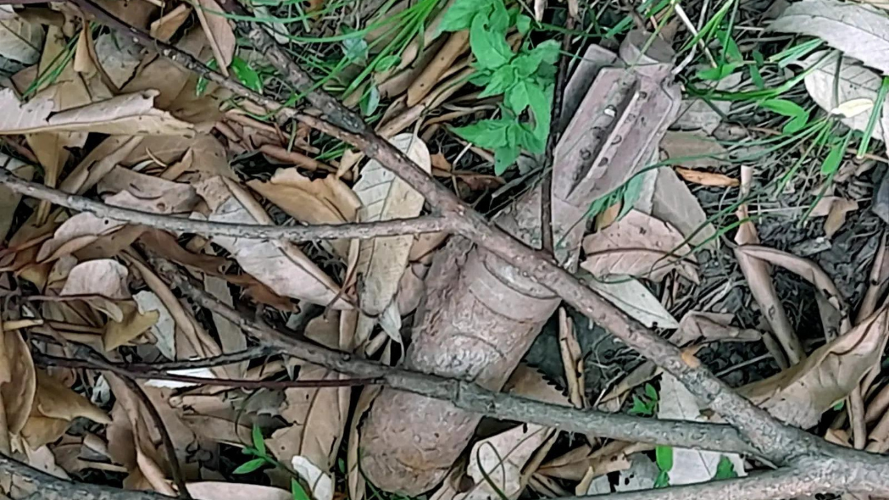 Old mortar shell found in Poonch, defused safely