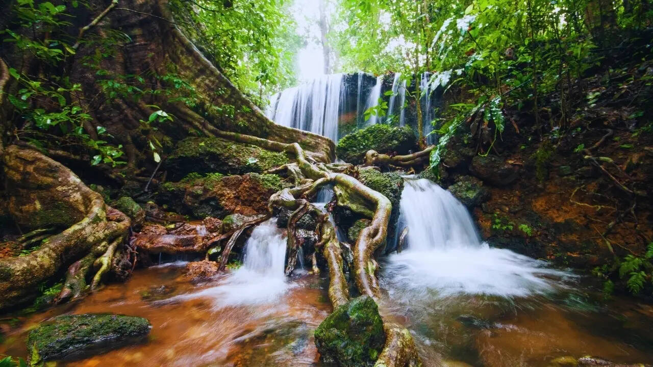 Agumbe in Karnataka