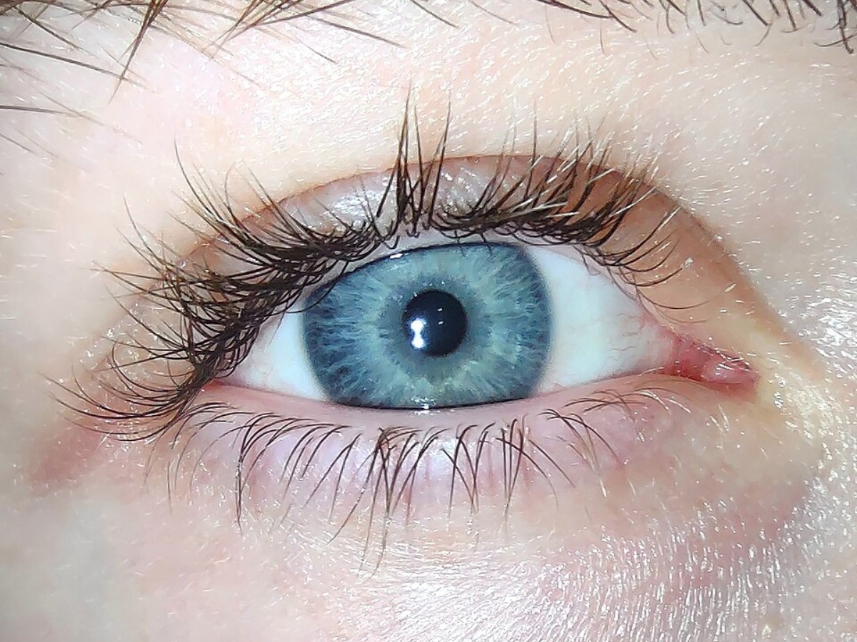 Wikimedia Commons Close up shot of the human eye