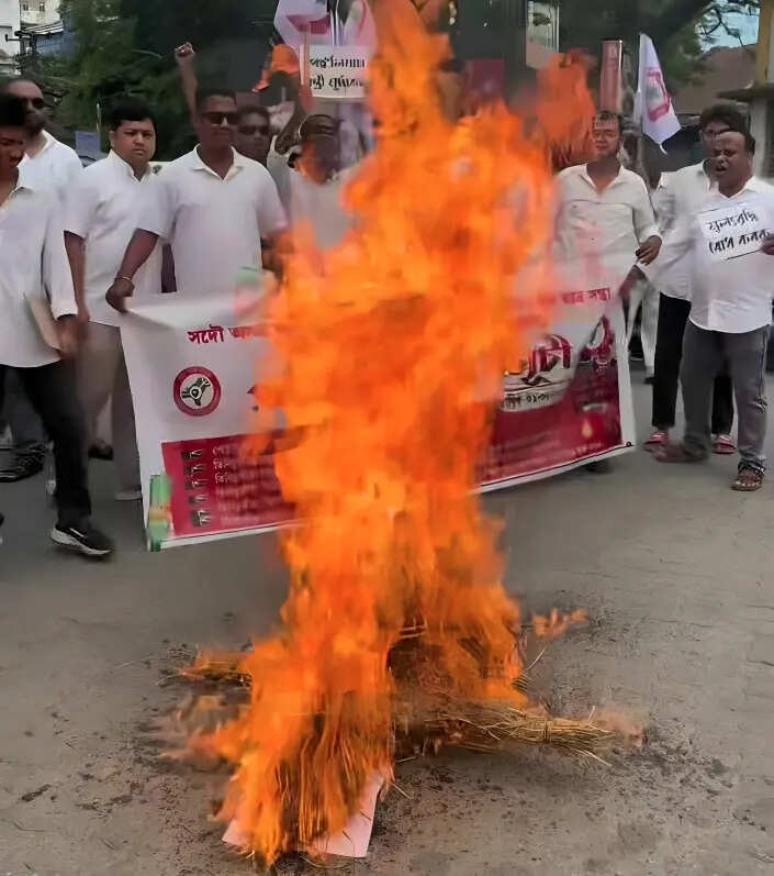 f4b4b0e6-12a1-49ff-8c27-2f1fbc5cd1a4_Effigy_burning_Tinsukia_.jpg