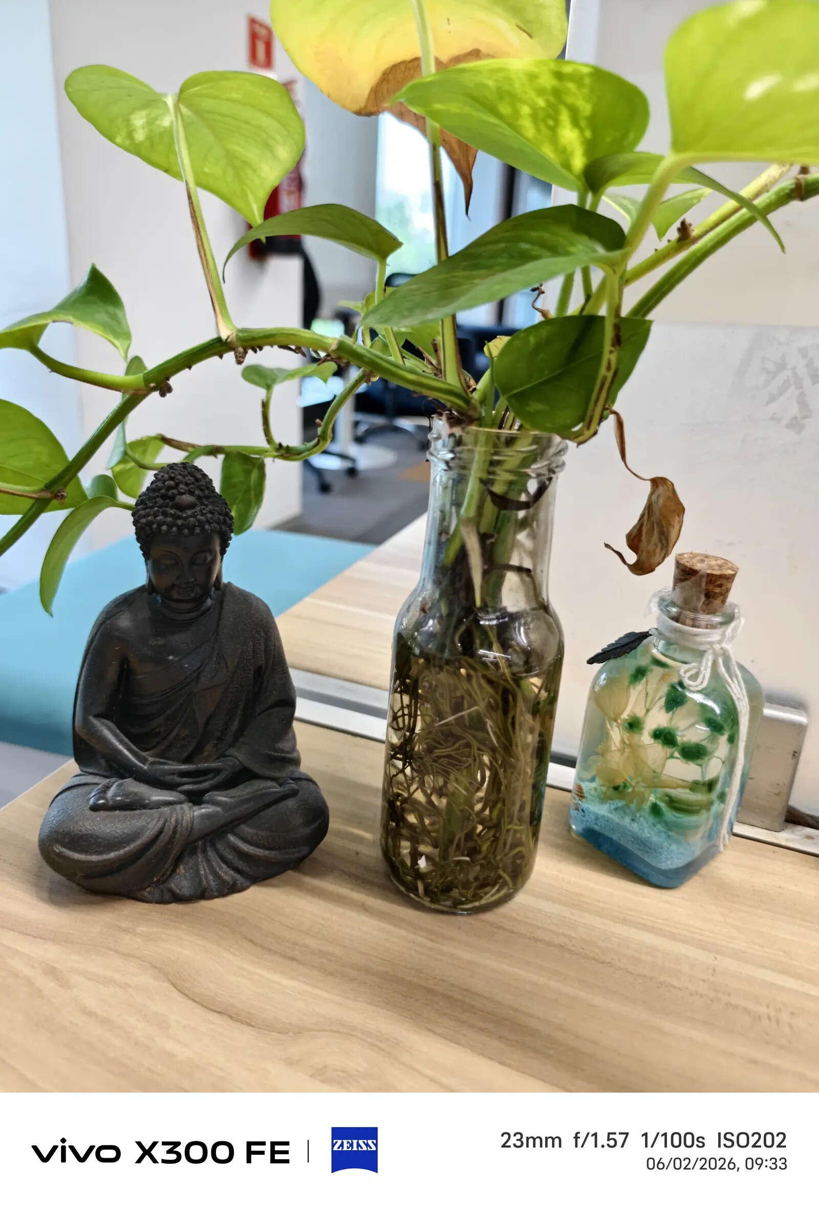 Vivo X300 FE camera sample