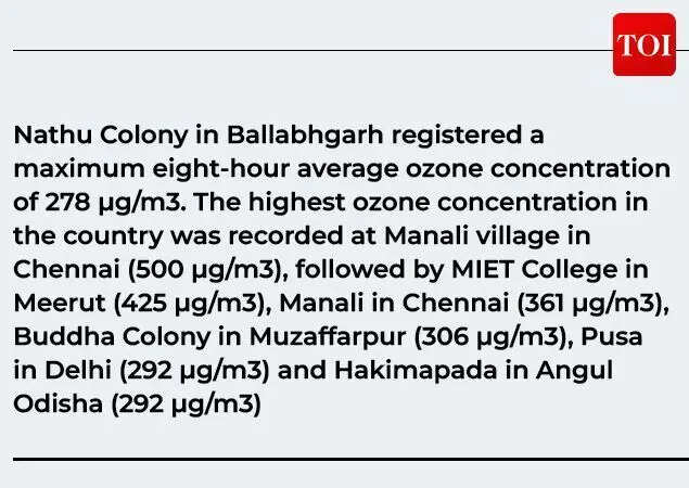 Nathu Colony, Ballabhgarh