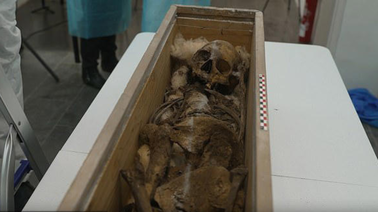 The wooden box containing Queen Elisenda's skeletal remains.