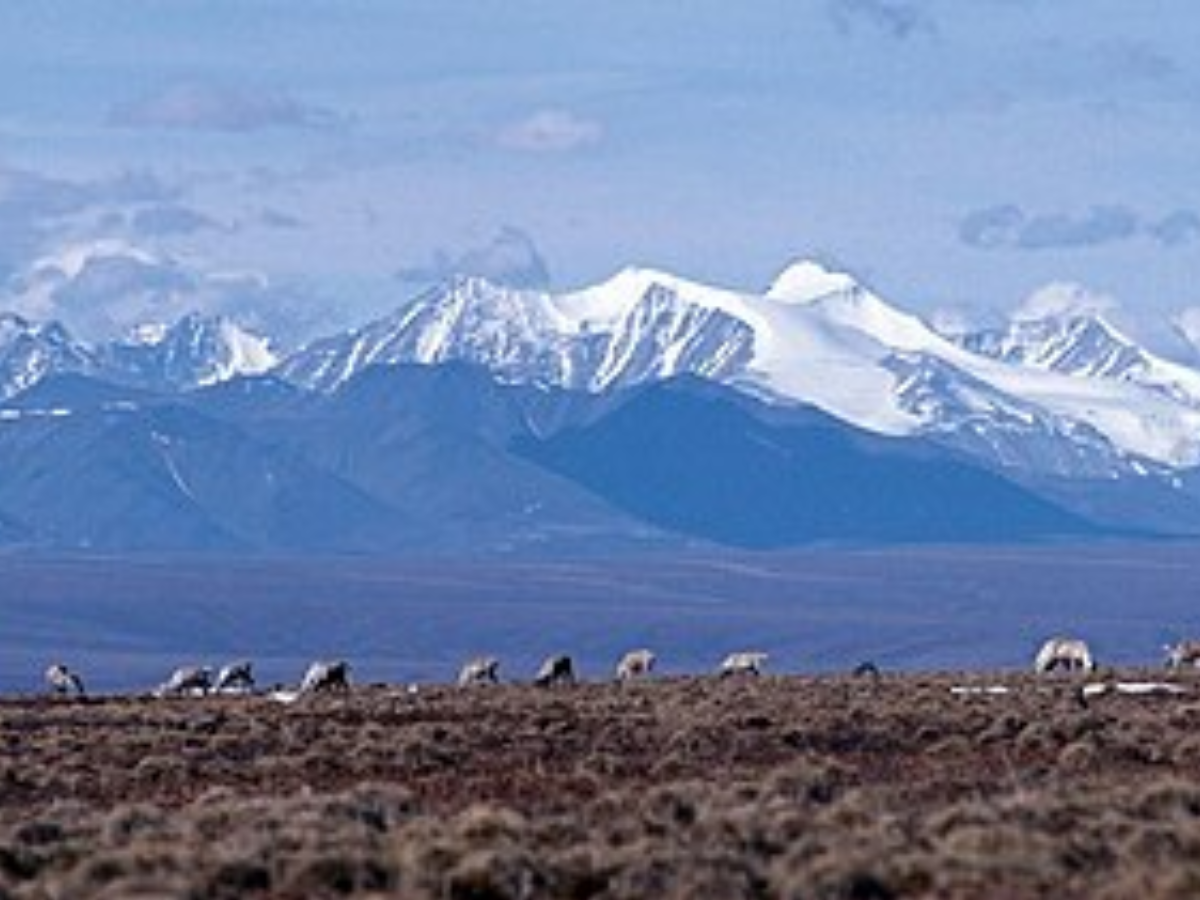 Brooks Range