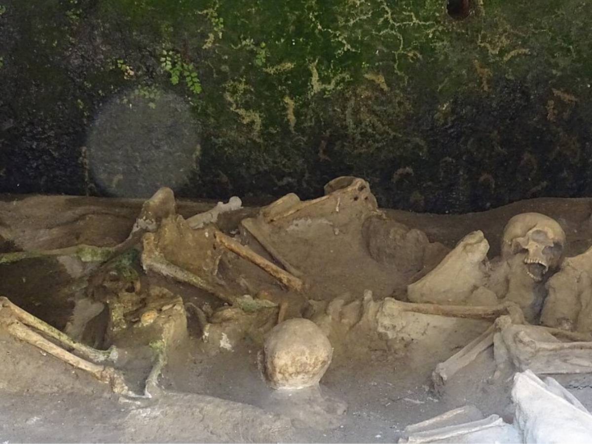Image of Herculaneum Boat Houses with Human Skeletons