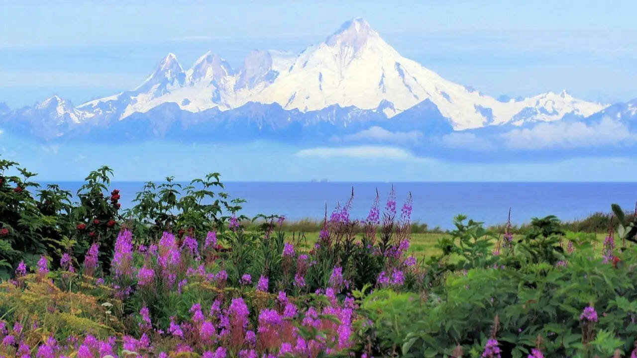 Alaska