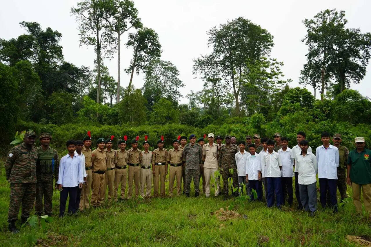 76bbf933-af9a-4f60-abaf-c89790f9f614_Sapling_plantation_.jpg