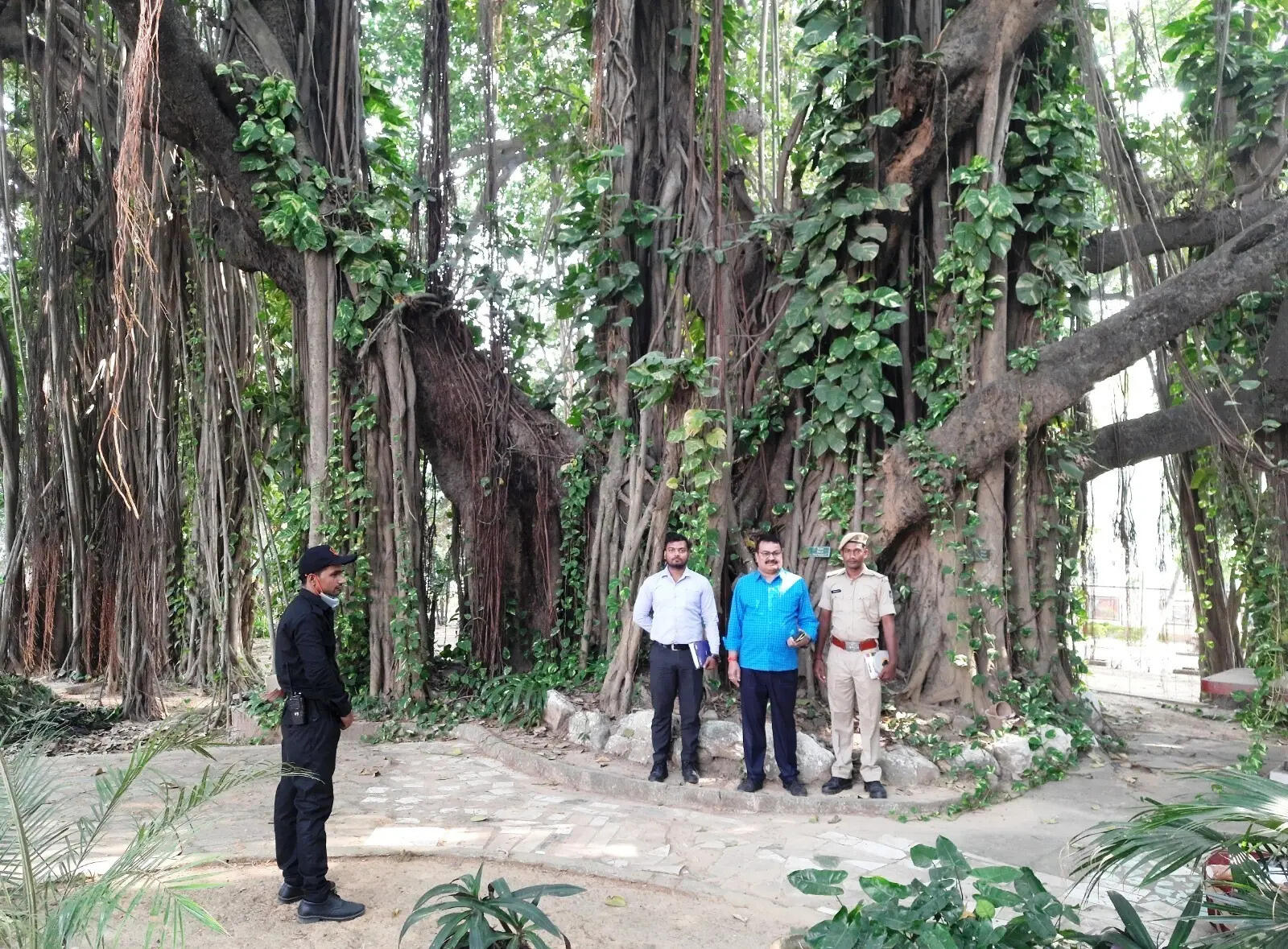 f39c6cf6-e882-4052-a37b-f35b88d273c0_The_banyan_tree_on_ITC_campus_in_Munger_.JPG