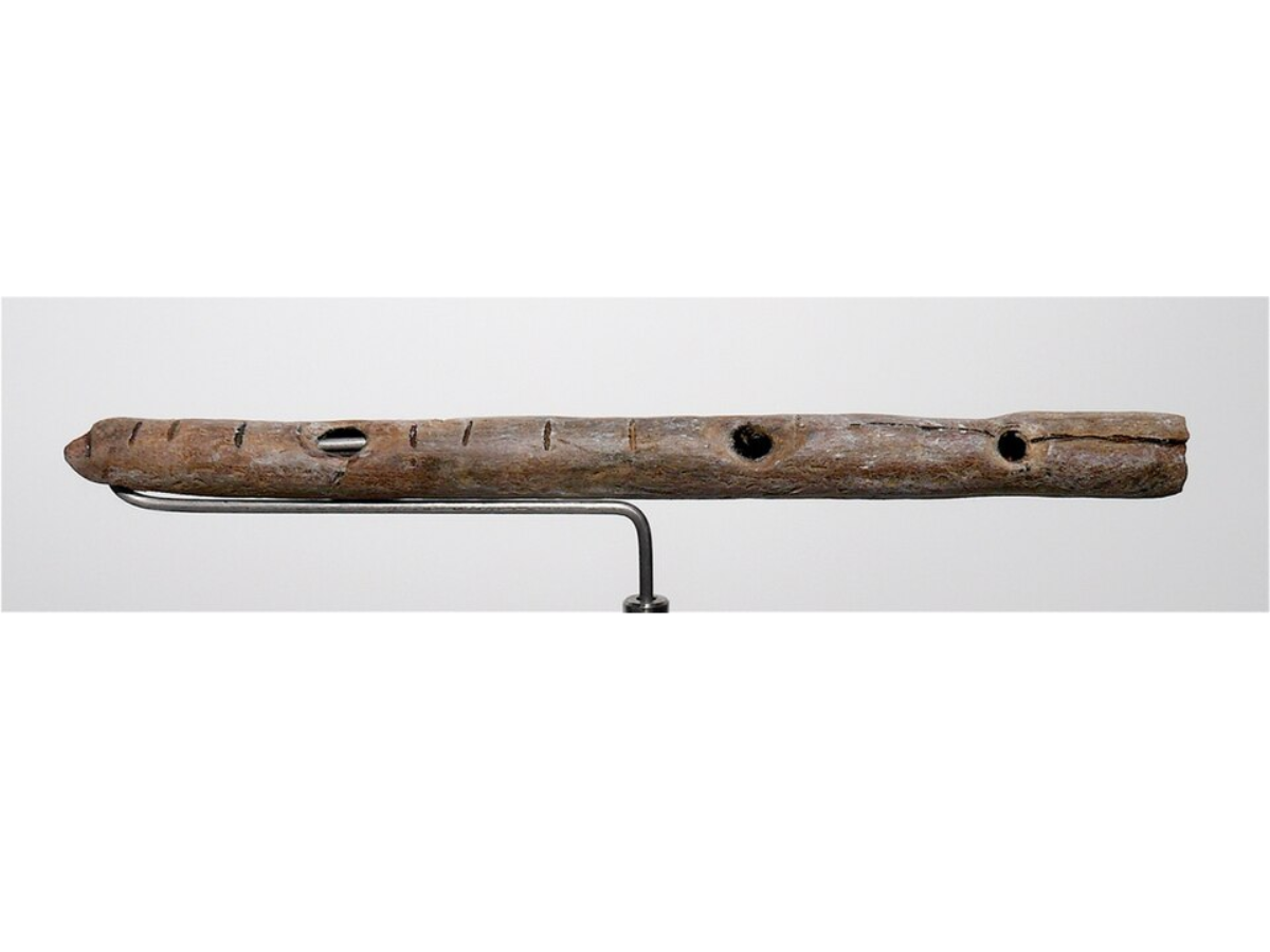 Bone flute dated in the Upper Paleolithic from Geissenklösterle, a German cave Image Credit Wikimedia Commons_