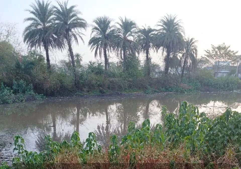 52b39859-0d9e-4016-8b63-4b308ccc3e96_Pond_area_planned_to_be_reclaimed_for_bus_stand_project_at_Padampur.jpg