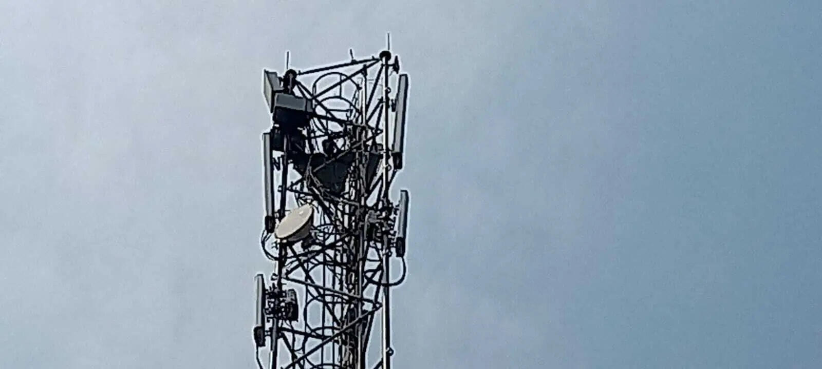 51ef21fc-a9f9-4de3-9ba5-f9a84a6ef59b_Vikas_Kumar_climbed_the_tower.Vishvendu_Jaipuriar.jpg