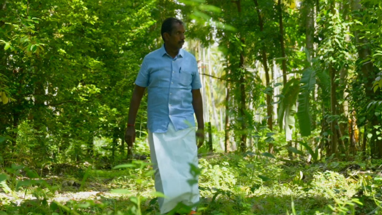 Save Soil–Cauvery Calling: Farmers' income jumps from Rs 30,000 to Rs 3 lakh per acre