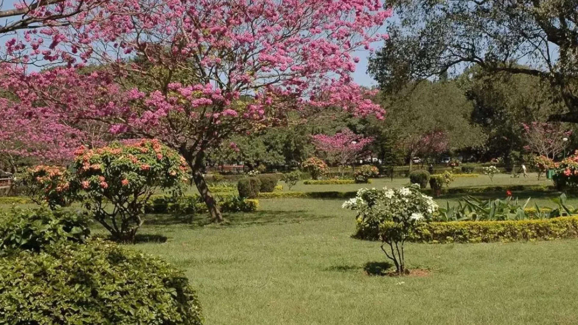 Canadian man settles in India with wife's family: Cost of living way lower than Toronto, lost 14lbs in 5 months