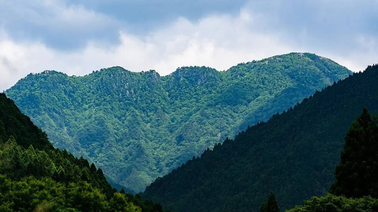 3. Mount Omine, Japan