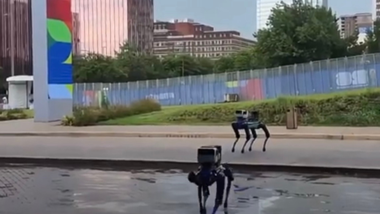 “Trying to be cool and nonchalant”: Fans go bananas over FIFA World Cup 2026 use of Robot Dogs for security at Dallas broadcast hub