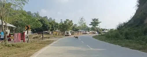 cf9f6da4-ca00-476b-892c-788771ce54d7_Darnamtlang_village_of_Lawngtlai_district.jpeg