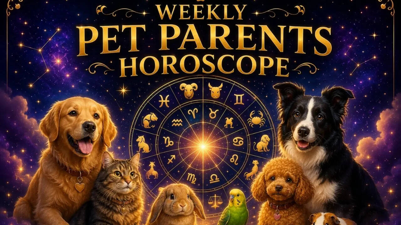 Weekly Pet Parents Horoscope, June 07 to June 13, 2026: What the stars say about your bond with your pets