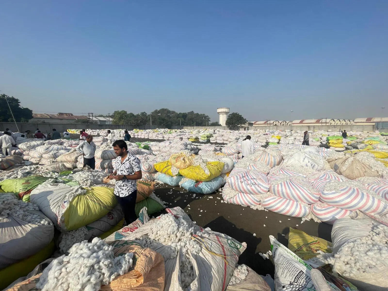 raj-yard-1.jpg