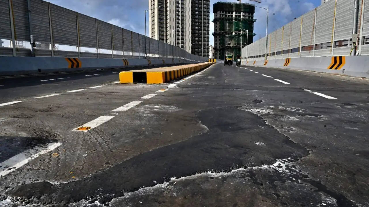 Mrinal Tai Gore flyover (Photo credit: Uma Kadam)