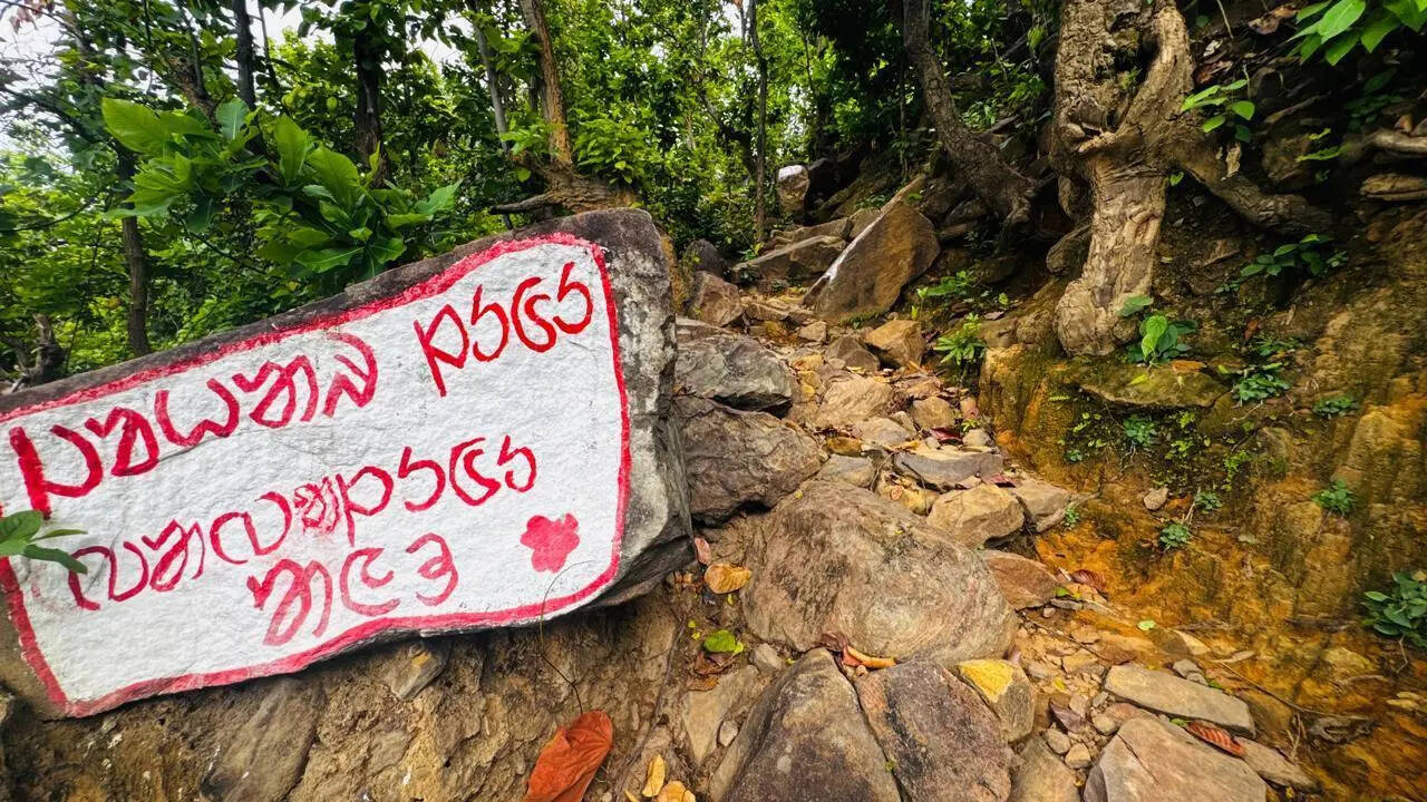 1b6282a6-5704-458a-8eb0-c4777d5df758_Bokaro_tourist_destination_lugu_hill_and_charchari_waterfall_6.jpeg