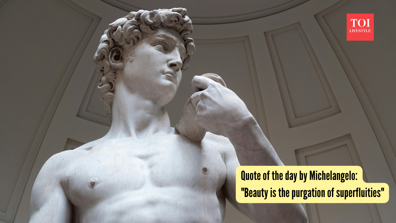Quote of the day by Michelangelo: "Beauty is the purgation of superfluities"
