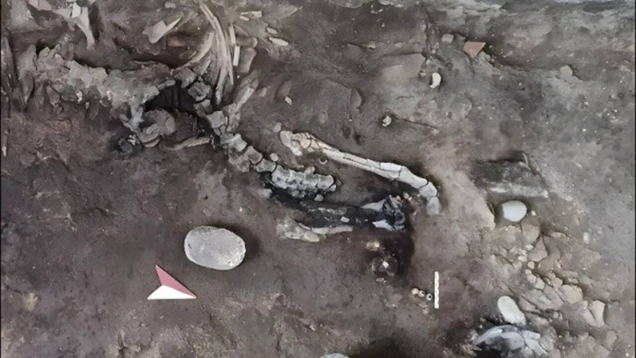 Two skeletons found inside a Pompeii bakery may be the key to an unsolved eruption mystery hidden beneath for nearly 2,000 years