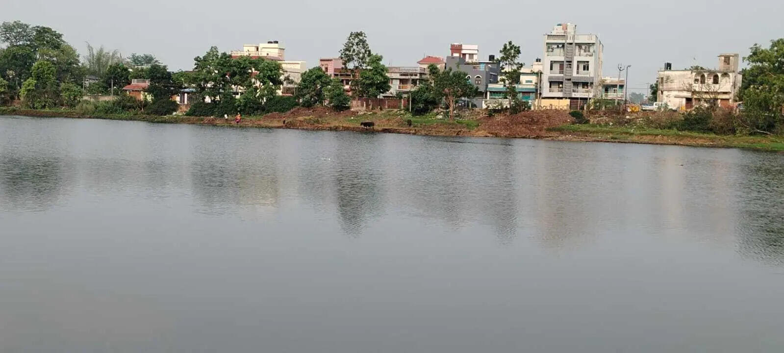 7832e2c7-a5f4-4db4-9754-8c951a7af63c_BAU_pond_after_cleaning.jpeg