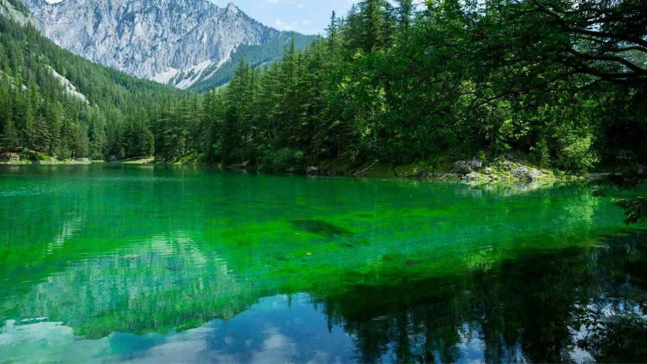 This Austrian park disappears beneath 39 feet every year, creating a surreal underwater world