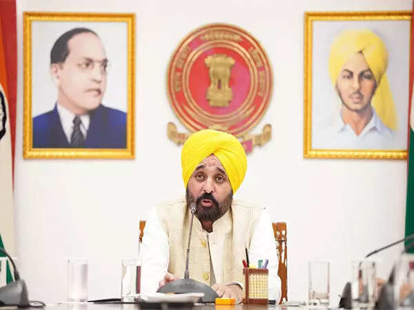 No paper leak in Punjab since 2022, students got opportunities based on merit: Mann