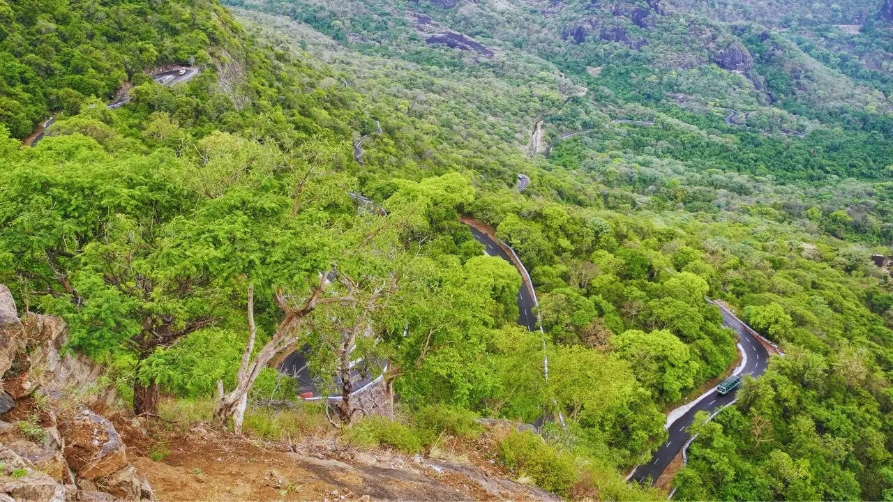 Roads in Valparai