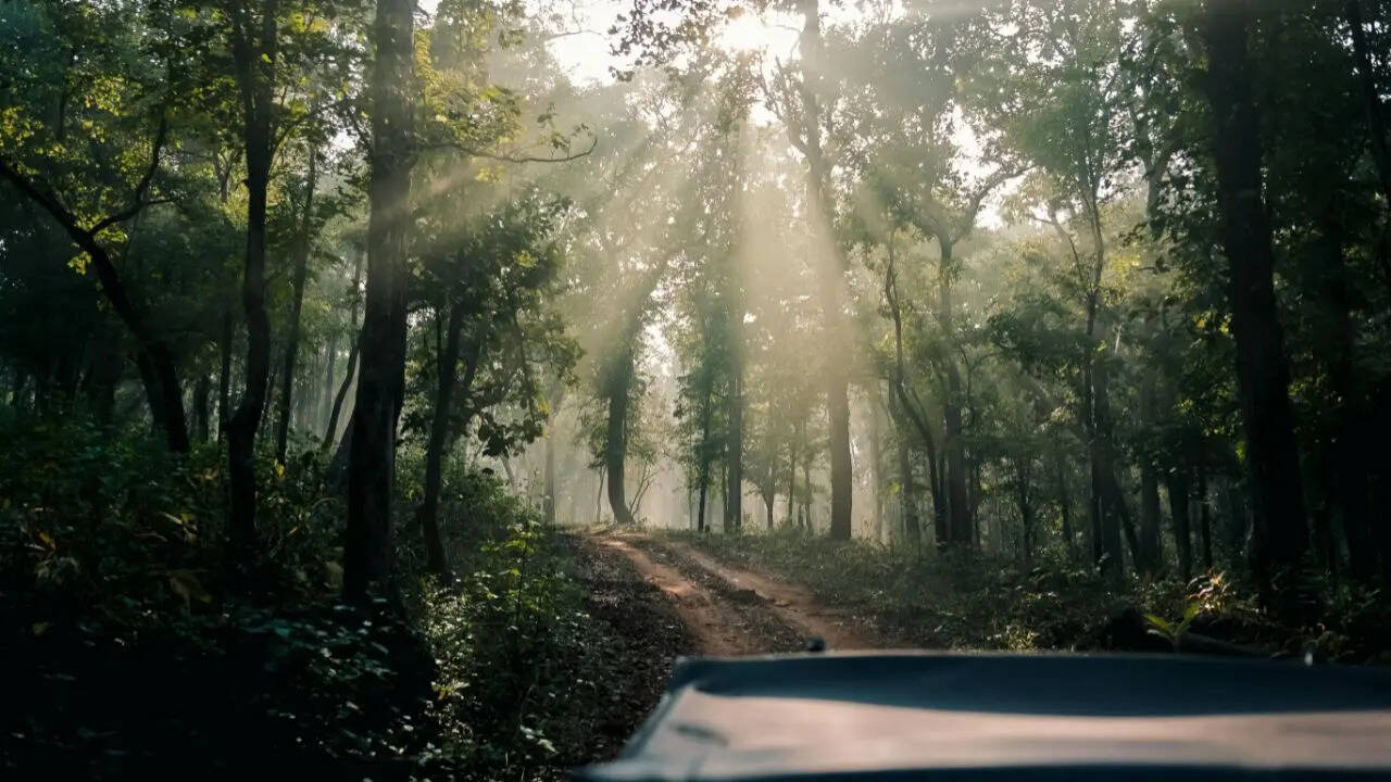 Tiger Reserve