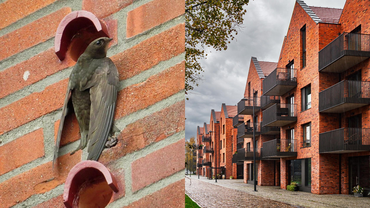Scotland changed its buildings forever to save disappearing 