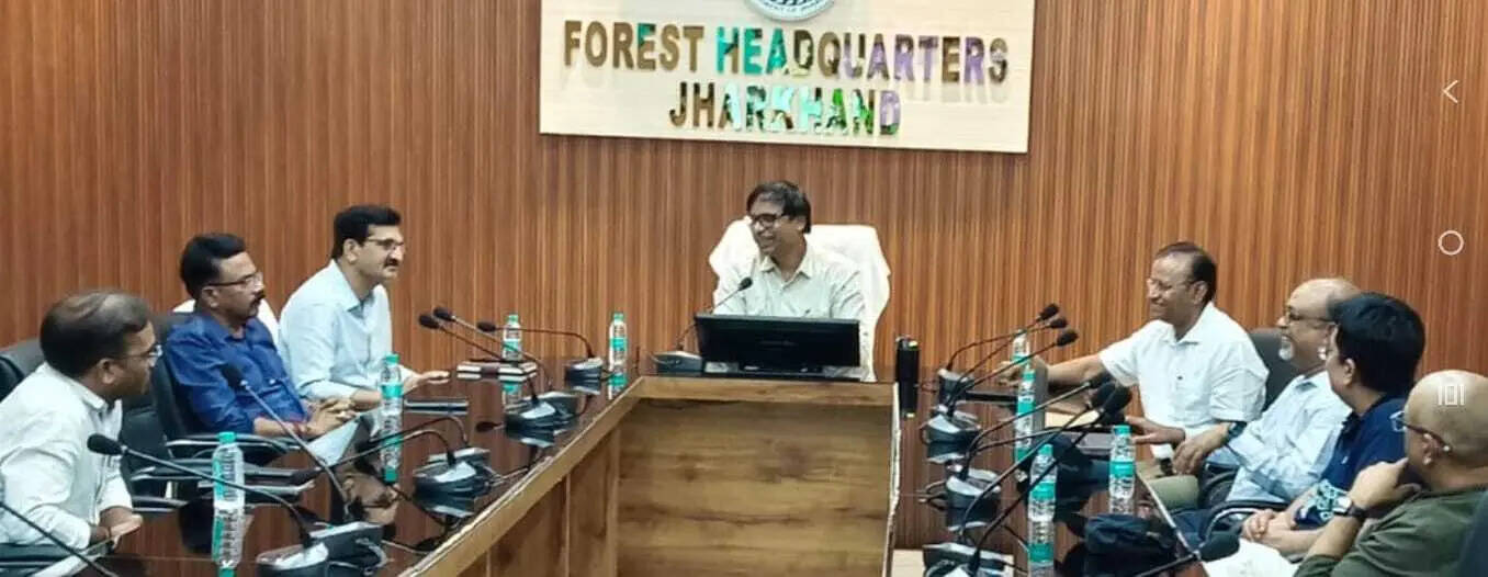 f91adb1d-4f2b-4098-8020-db038137c405_Forest_Dept.jpeg
