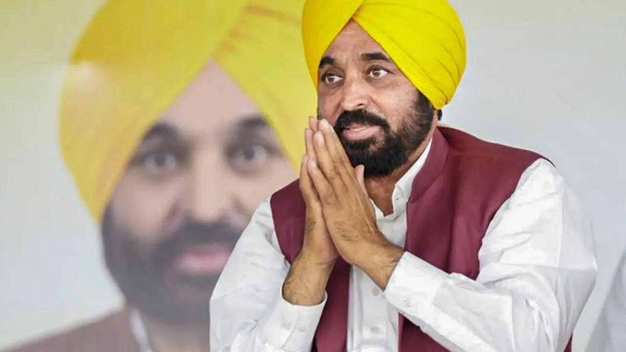 Punjab set to become startup hub of India: Mann