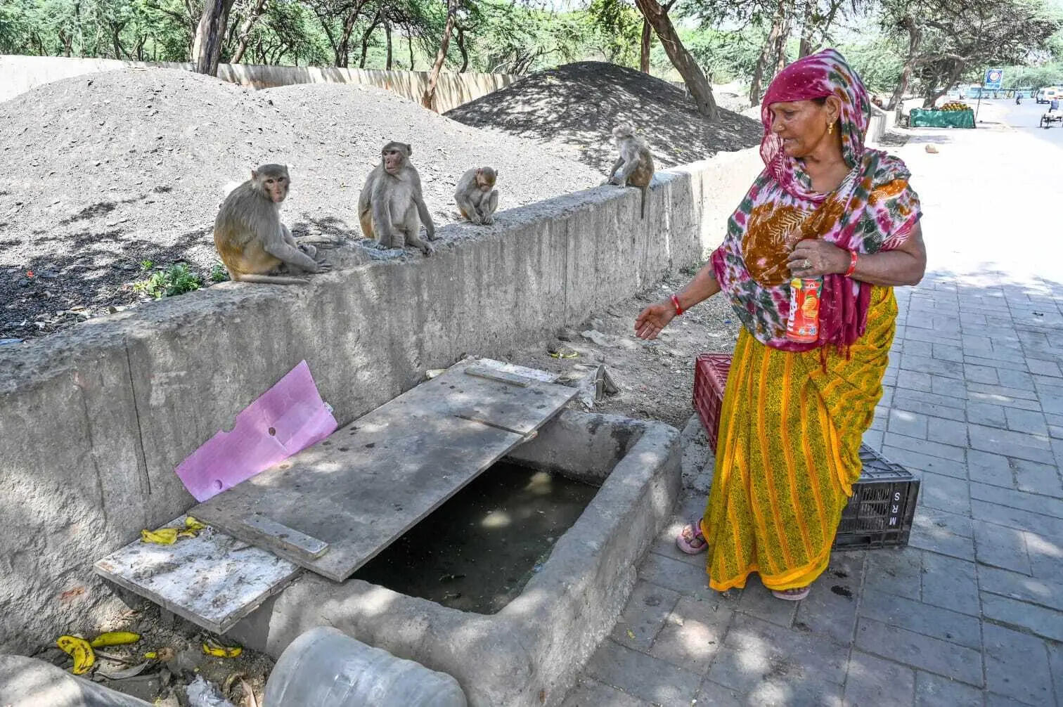 65-year-old woman seeks water facility for monkeys