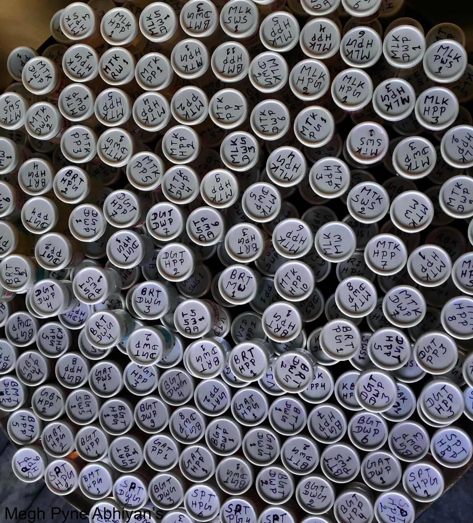 2e57e74f-8564-4270-9562-79aae8078397_Water_Samples_from_Gharbar_Panchayat.jpg