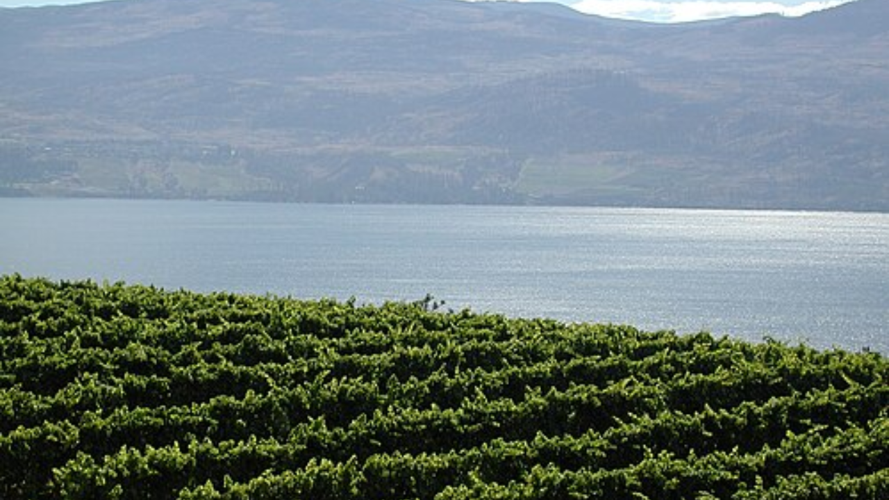 6. Salmon Arm: Affordable retirement in the Shuswap