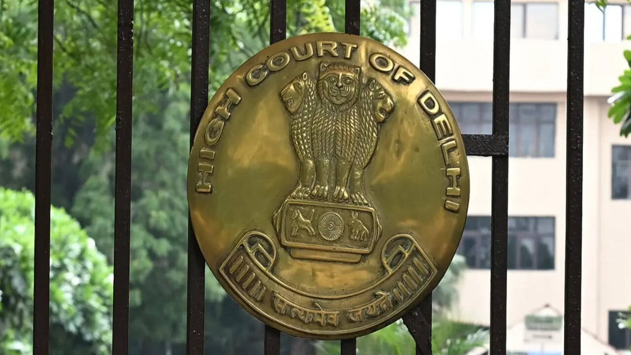 Delhi HC grants bail to terror funding accused
