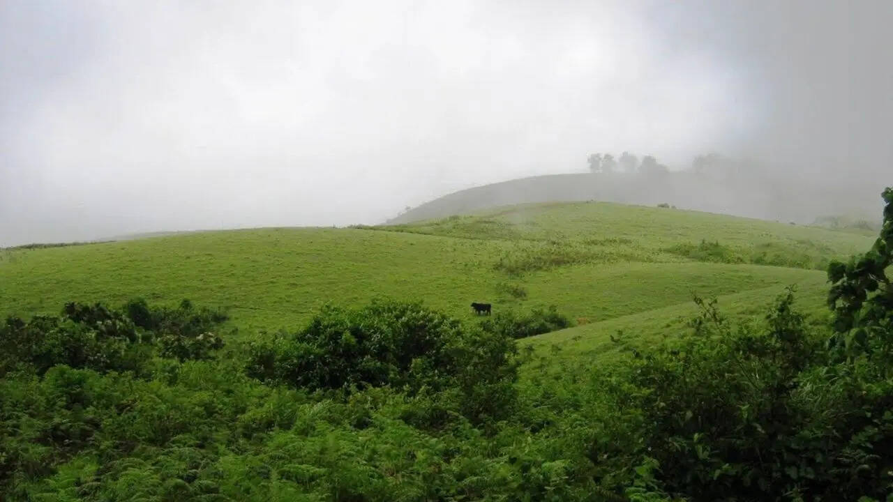 4. Vagamon