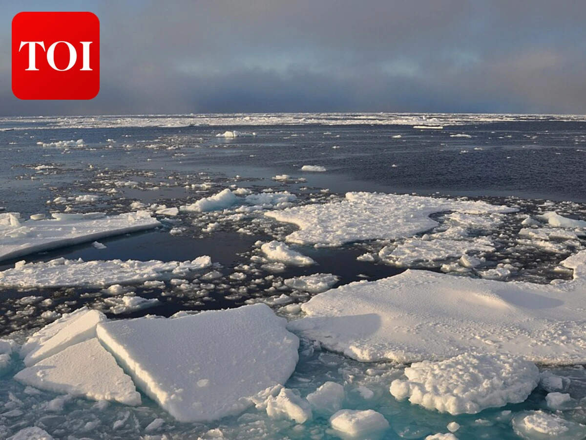 Wikimedia Commons Arctic Ice