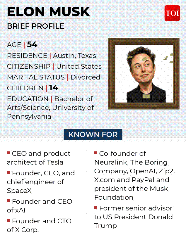 Elon Musk profile