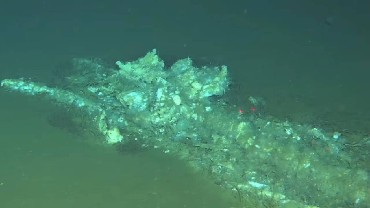 Scientists map the largest 'whale graveyard' in the deep Indian Ocean zone