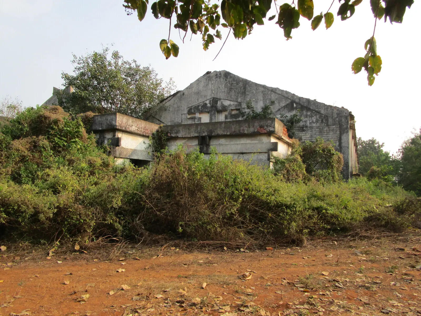 2ccd12b9-518a-4c1b-a829-839ec1babe62_The_overgrown_grass_in_the_closed_Shree_Sarala_spinning_Mill_at_Tirtol.JPG