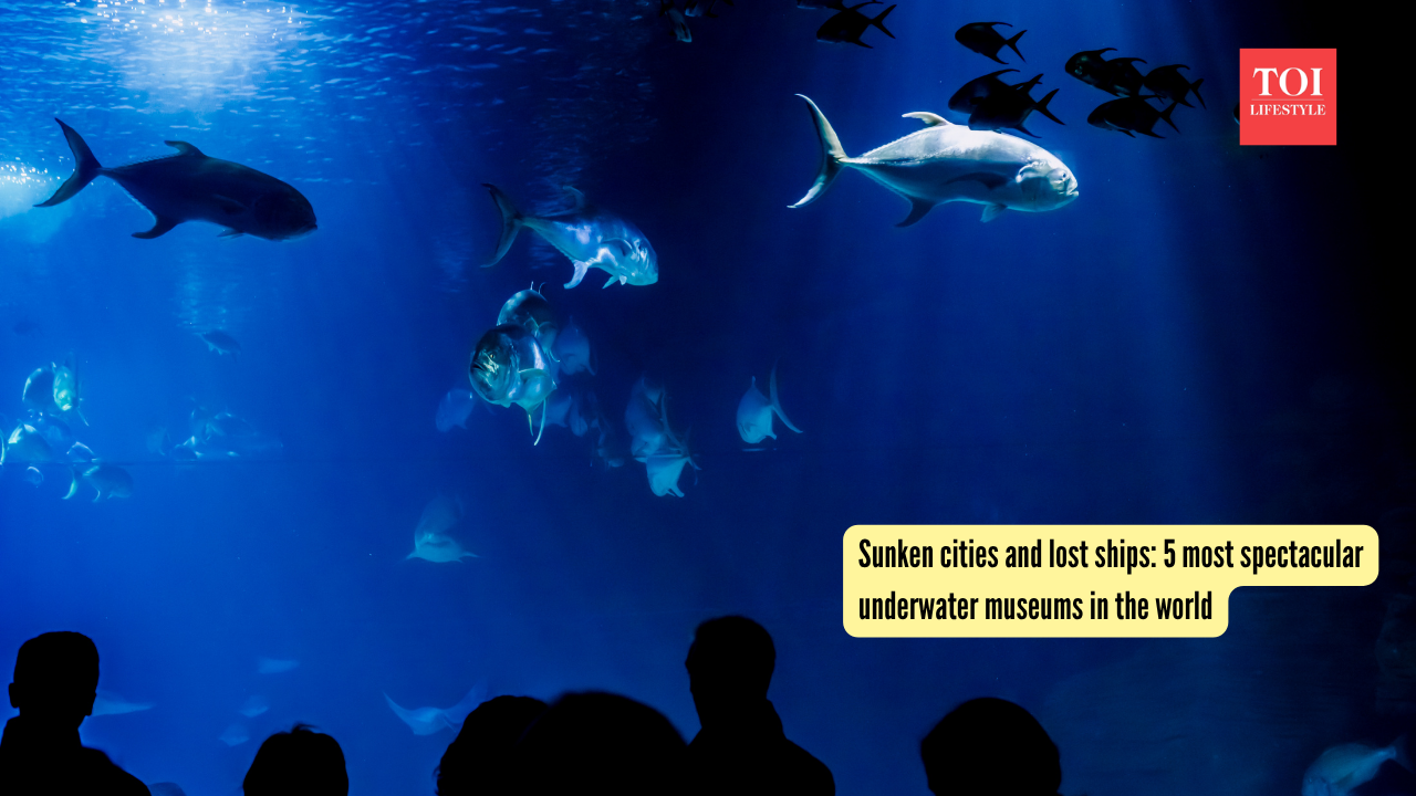 Sunken cities and lost ships 5 most spectacular underwater museums in the world